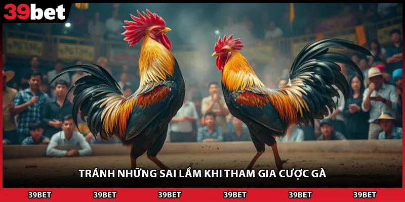 Tránh những sai lầm khi tham gia cược gà